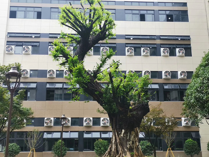 負(fù)壓風(fēng)機(jī)工程